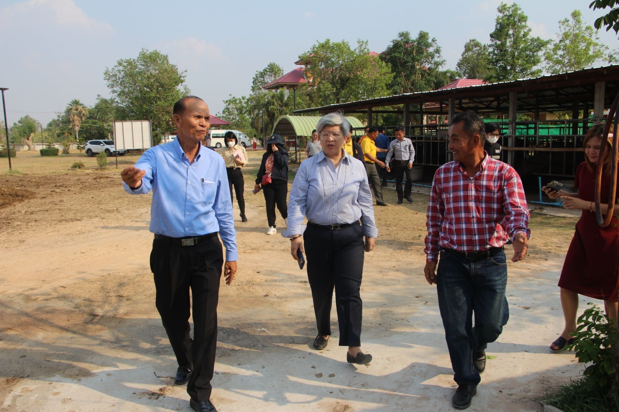 คณะกรรมการธรรมาภิบาลจังหวัดร้อยเอ็ด ลงพื้นที่ติดตามโครงการเพิ่มประสิทธิภาพโคเนื้อ-โคขุนด้วยพืชอาหารสัตว์คุณภาพ 