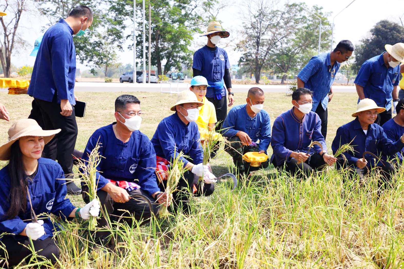 ผู้ว่าประจวบฯ เปิดกิจกรรม "เอามื้อสามัคคี โคก หนอง นา โมเดล” ปราณบุรี