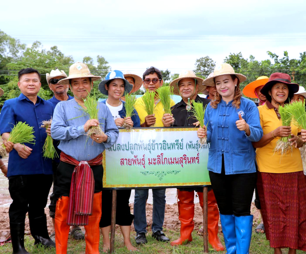 ประธานฯ สสท. เปิดฤกษ์ลงแขก ดำนา ปลูกพันธุ์ข้าวอินทรีย์ สกก.วัน วัน วัน 