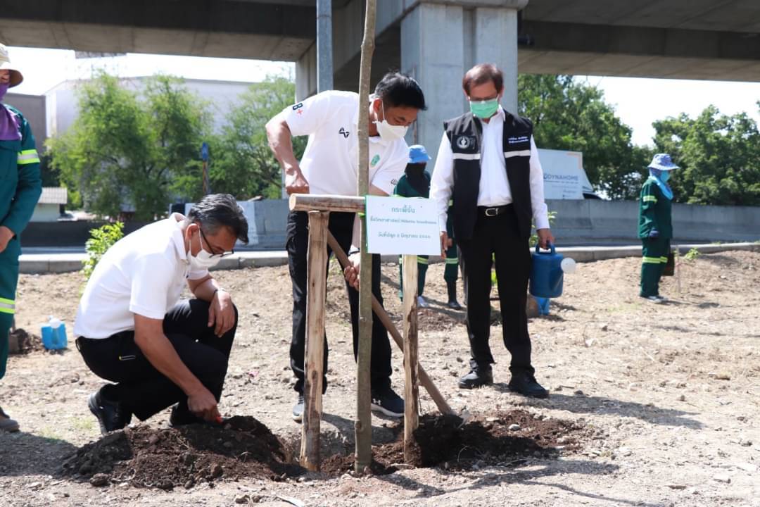  เขตดอนเมืองจัดกิจกรรมปลูกต้นไม้เนื่องในวันต้นไม้ประจำปีของชาติ