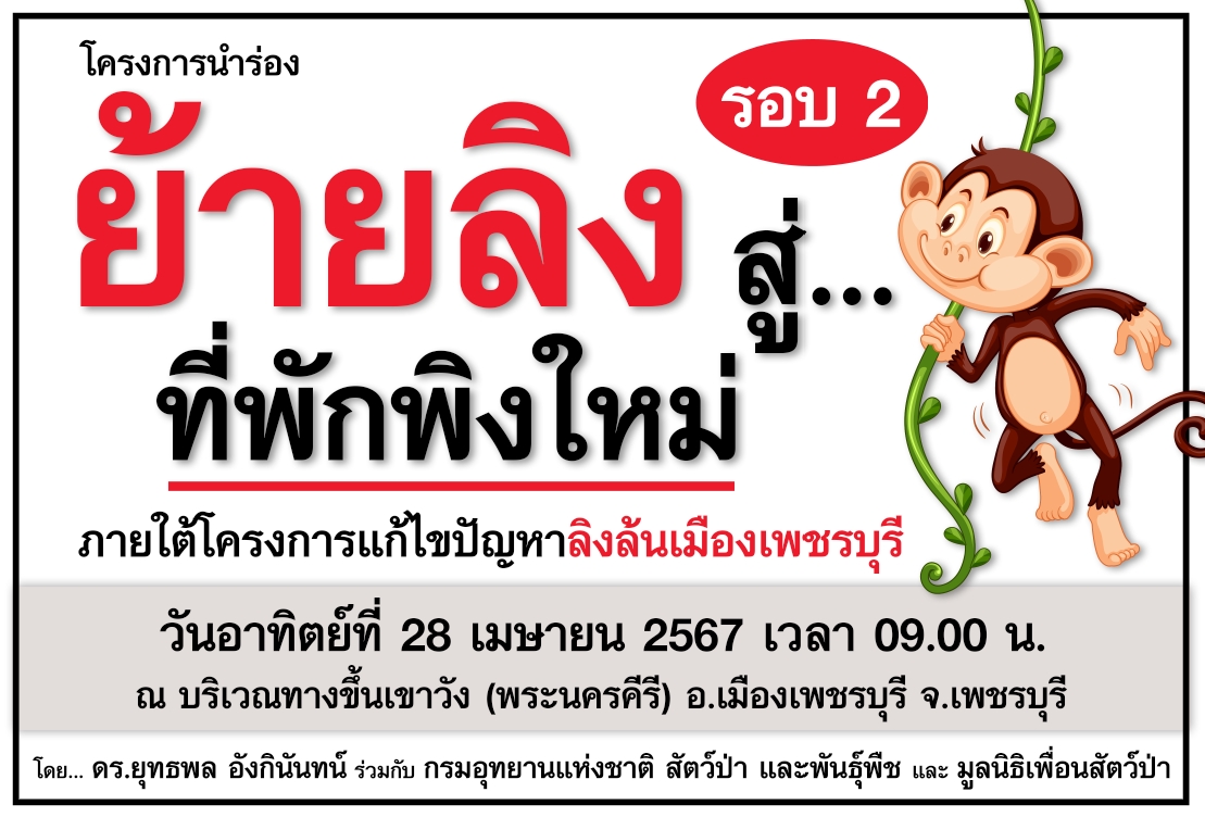เปิดกำหนดการโครงการนำร่อง "ย้ายลิงสู่ที่พักพิงใหม่" ครั้งที่ 2 บริเวณทางขึ้นเขาวัง (พระนครคีรี)