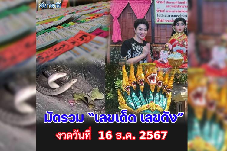 มัดรวม "เลขเด็ด เลขดัง” งวดวันที่ 16/12/67