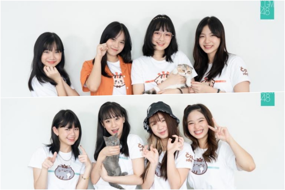 โครงการ CAT IDOL by CGM48 ส่ง ทีมไอดอล แมวคานาเมะ – ทีมไอดอล แมวบลูซิเฟอร์ เรียกกระแสคนรักน้องแมว