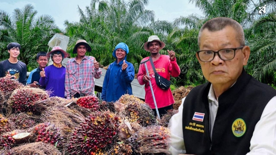 ชุมนุมสหกรณ์ชาวสวนปาล์มกระบี่ พลิกฟื้นกลับมีกำไร 104.5 ล้าน ด้วยเงินสนับสนุนจาก กพส.