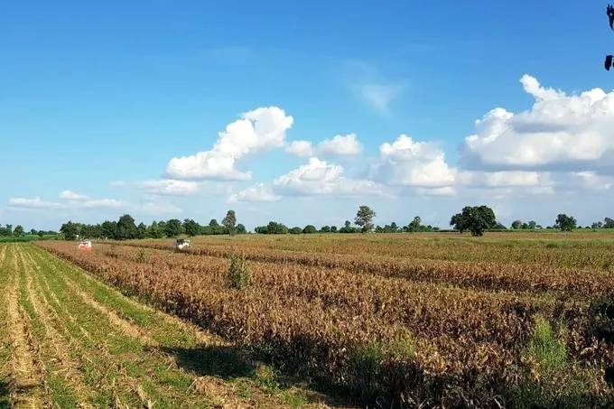ส่องแนวทางรัฐ-เอกชน บูรณาการฐานข้อมูลจัดการฝุ่น PM 2.5 แบบยั่งยืน
