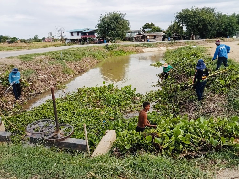 โครงการส่งน้ำฯยางมณี เดินหน้ากำจัดสิ่งกีดขวางทางน้ำ ในคลองส่งน้ำ 2 ขวา 1 ขวา อำเภอวิเศษชัยชาญ