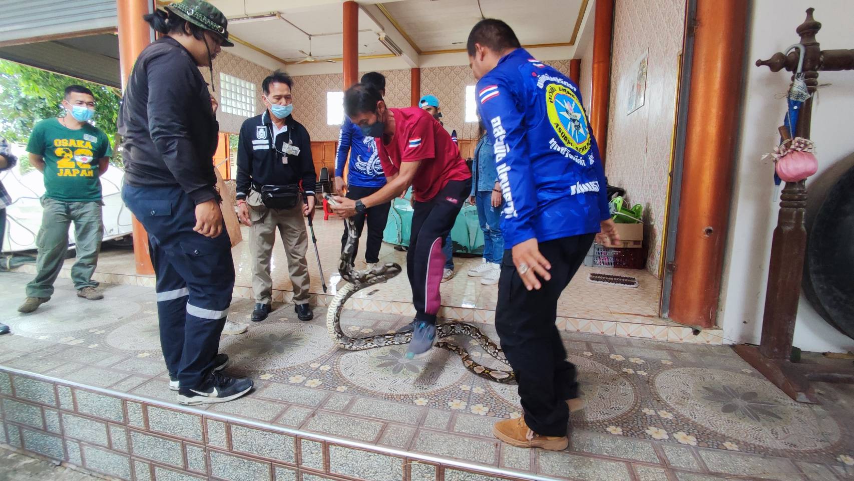 ทีมอสรพิษปทุมธานีจัดอบรมจับงูลดการทำลายชีวิต