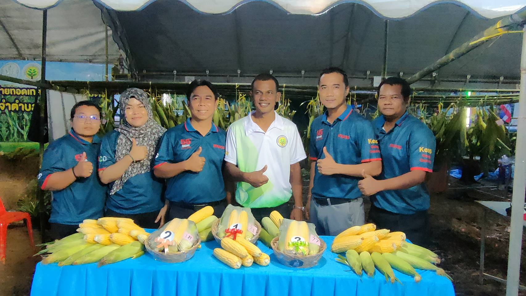 สตูลสุดมันส์โชว์ลีลาแข่งกินข้าวโพดในเทศกาลข้าวโพดหวานของดีอำเภอท่าแพ 