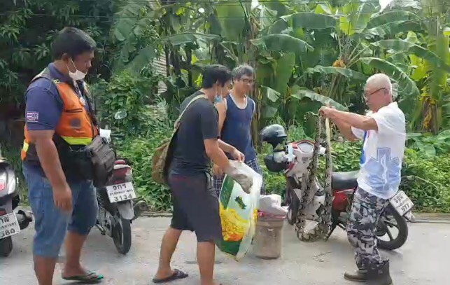 ฟิตปั๋ง! อาสารุ่นใหญ่วัย74จับงูเหลือมยาว2.5เมตร เขมือบกระต่ายชาวบ้าน