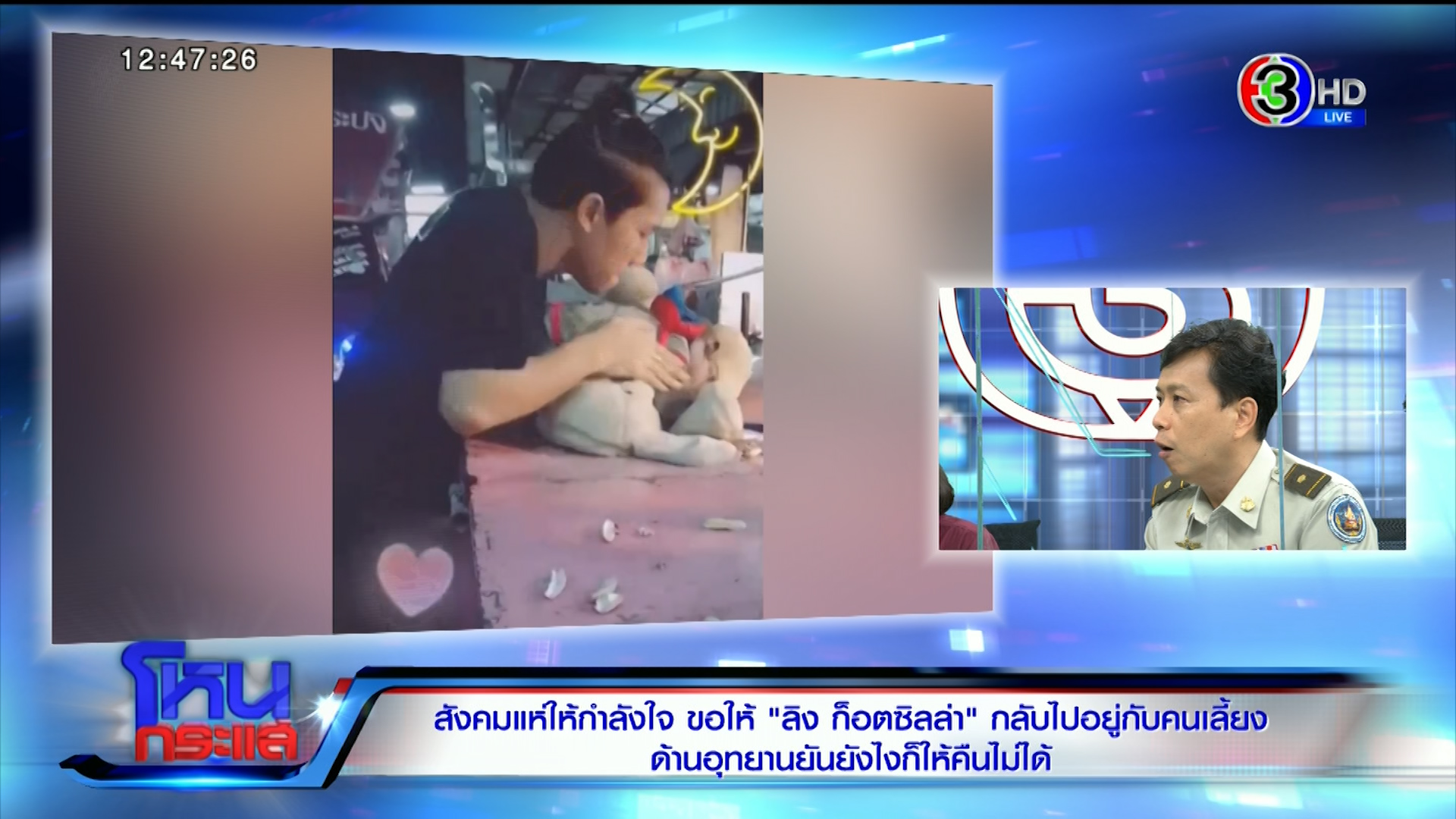  ไม่จบง่ายๆ “ก็อตซิลล่า” ยังกลับบ้านไม่ได้! เจ้าของโต้ หมอไม่รู้ใจลิง - ใครจะเปลี่ยนเสื้อผ้าให้