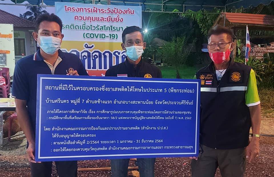 ปปส ภาค 7 มอบป้ายครอบครองใบกระท่อม  ให้ 8 หมู่บ้านนำร่องที่ อ.บางสะพานน้อย