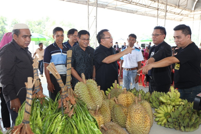 นราธิวาส เปิดตัวตลาดทุเรียน พร้อมผุดแบรนด์ "ทุเรียนช้างเผือกนรา"