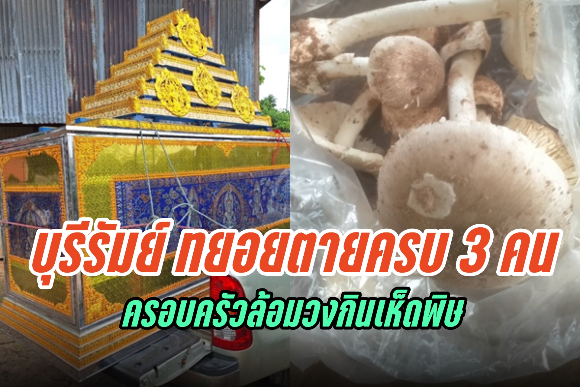 บุรีรัมย์ ทยอยตายครบทั้ง 3 คน ครอบครัวล้อมวงกินเห็ดพิษ