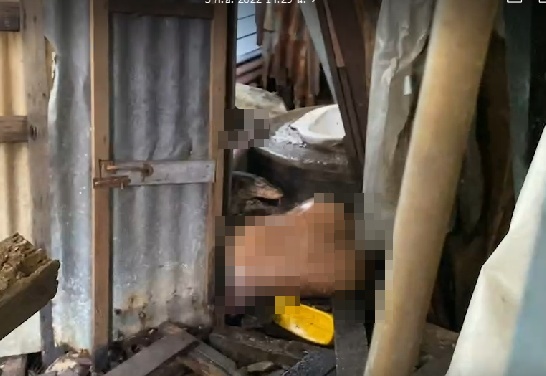 ตัวเงินตัวทอง รุมแทะร่างหนุ่มวินเสียชีวิตลำพังในบ้านพักชุมชนคลองเตย