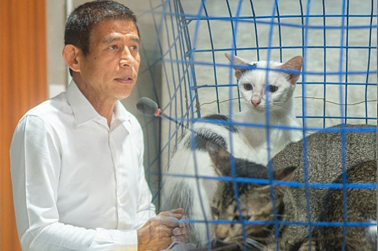 ทม.กะทู้ ร่วม มูลนิธิสุนัขในซอย ทำหมัน ฉีดวัคซีนแมวสุนัข ลดปัญหาสัตว์จรจัด