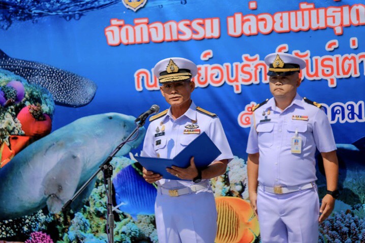 กองทัพเรือ ร่วมปล่อยเต่าทะเล 34 ตัว คืนสู่ธรรมชาติ ตามโครงการอนุรักษ์แนวปะการังและสิ่งมีชีวิตใต้ทะเลไทยฯ