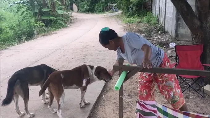 รวบหนุ่มยิงเจ้าหลงสุนัขพันธุ์ไทยถึงหน้าบ้านเมียโร่ขอโทษแทน 