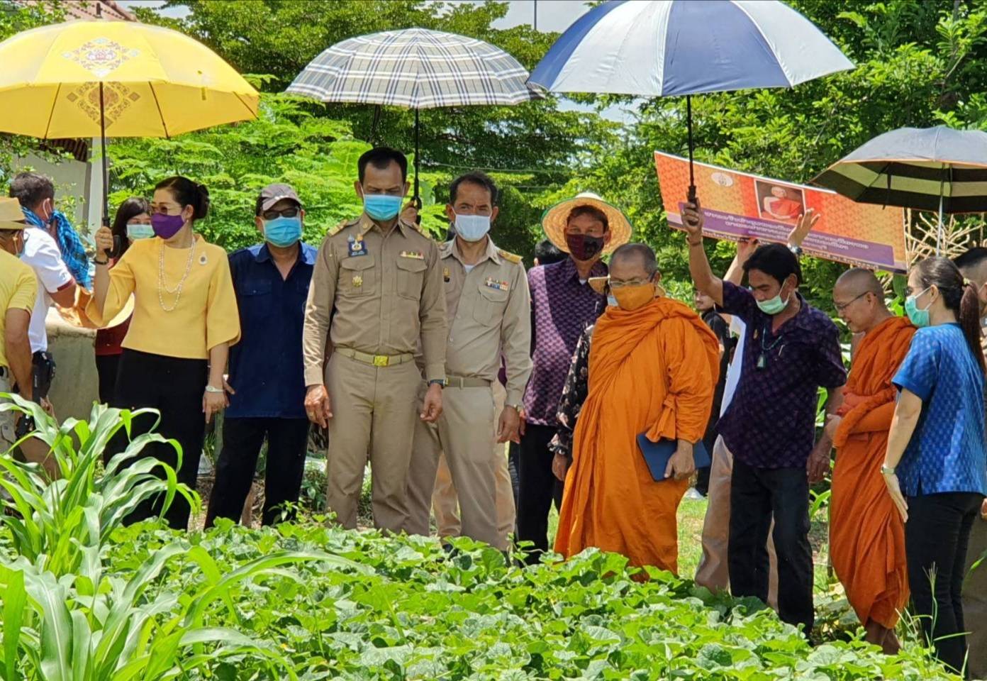 "พช.ลพบุรี - พศ.ลพบุรี" ขยายผลปลูกผักสวนครัวตามหลัก "บวร" 