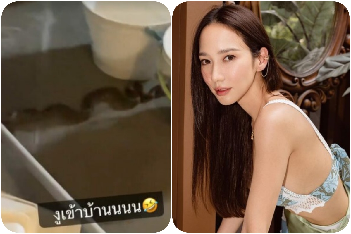 แม่เบี้ยมาจริงๆ ด้วย "อั้ม พัชราภา" โพสต์ภาพงูเข้าบ้าน ชาวเน็ตแห่ส่องเลขบ้าน