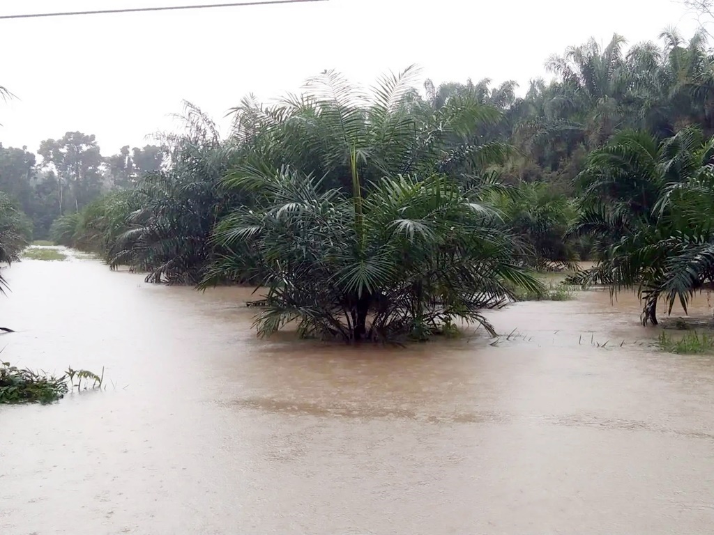 ฝนถล่มตรัง 3 อำเภอจมบาดาล เร่งช่วยเหลือประชาชนตลอด 24 ชม.