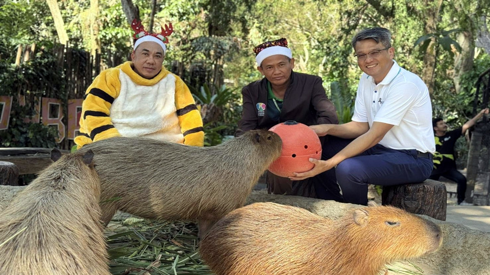 สวนสัตว์เปิดเขาเขียวจัด Merry Christmas & Happy New Year 2026 ส่งมอบความสุขให้สัตว์ป่า