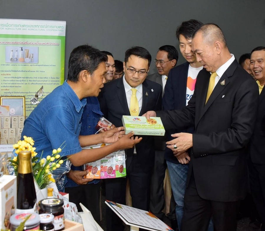 กรมวิชาการเกษตร ดัน "กล้วยฉาบน้ำตาลโตนด" กลุ่มวิสาหกิจรำแดง ขึ้นเว็บ lazada