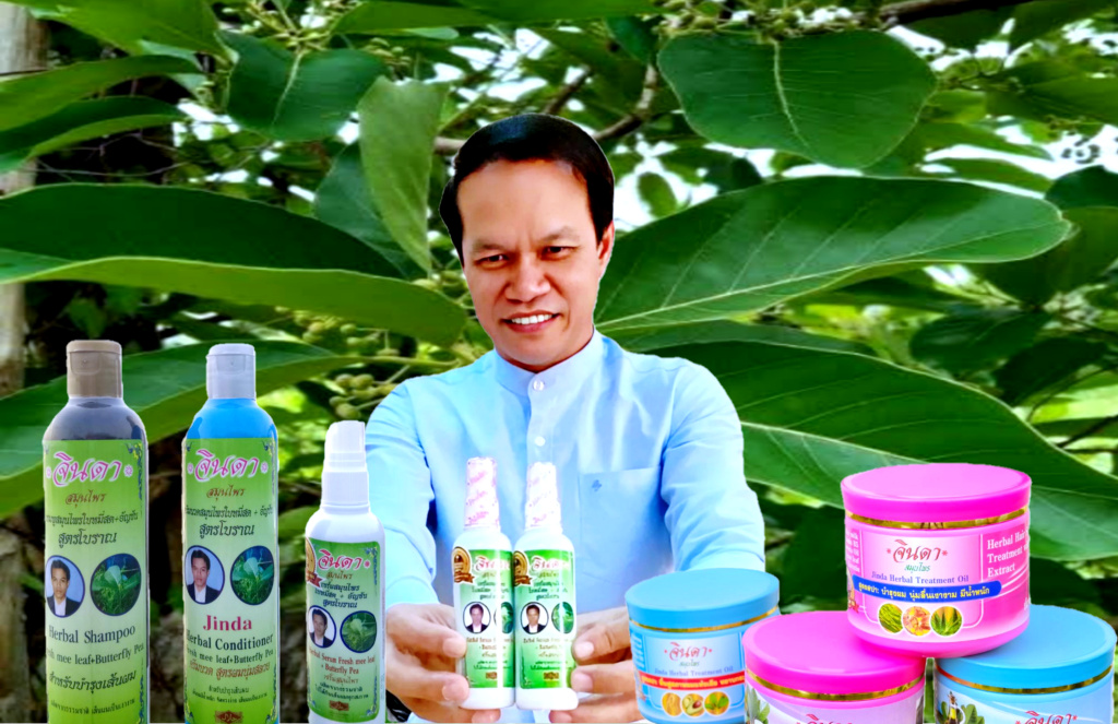 "จินดาสมุนไพร" ดันผลิตภัณฑ์ใบหมี่เจาะตลาดโลก
