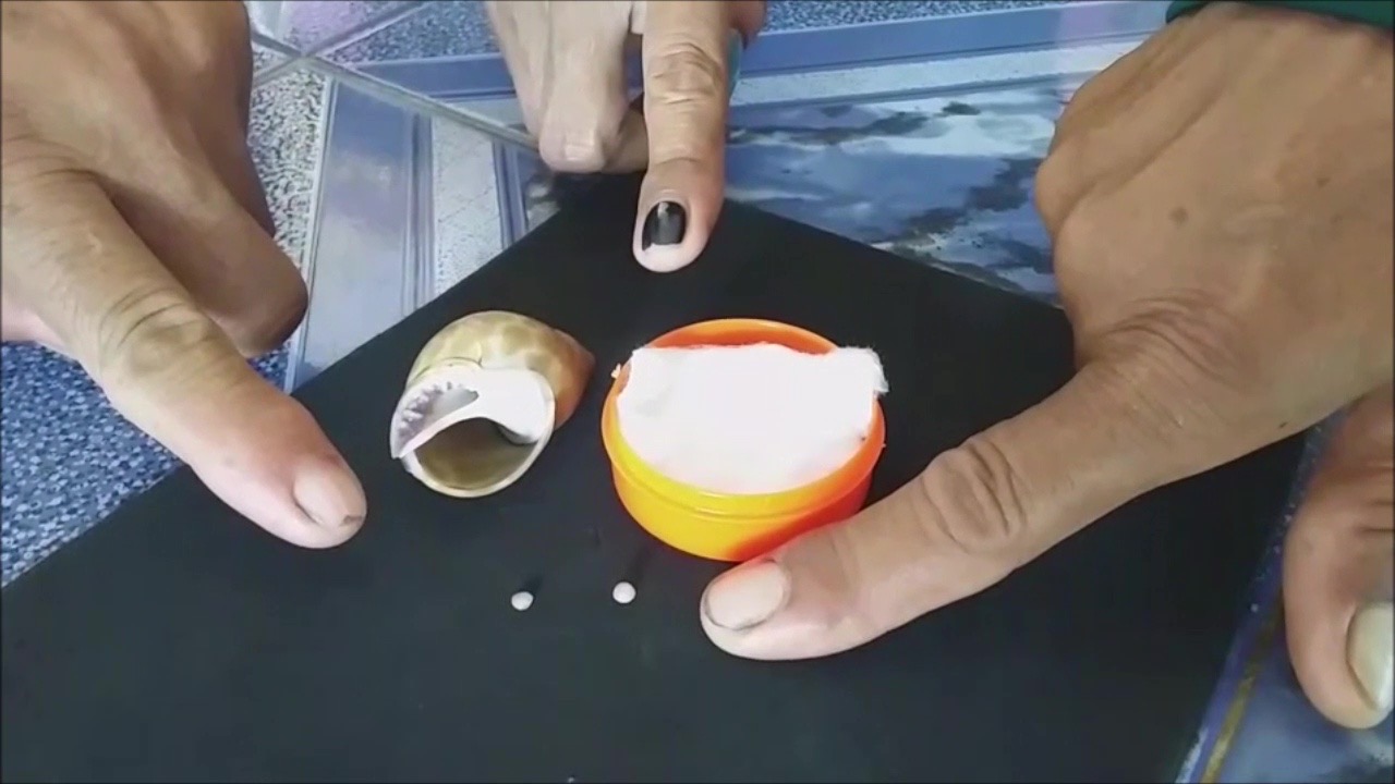 อุดรฯเฮลั่นบ้าน บอกหลานกินหอยหวานตัวสุดท้ายเจอไข่มุกเมโลสีเหลืองอร่าม เปล่งประกายวาววับ