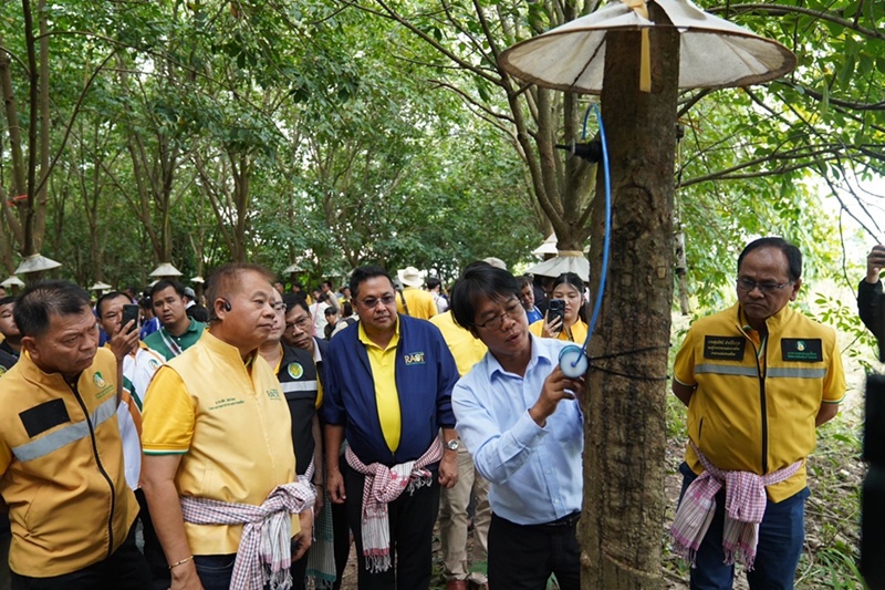 กยท.หนุนสวนยางอุทัยธานี สู่ “สวนยางอารยเกษตร–Smart Farm” ลดต้นทุน เพิ่มรายได้ยั่งยืน