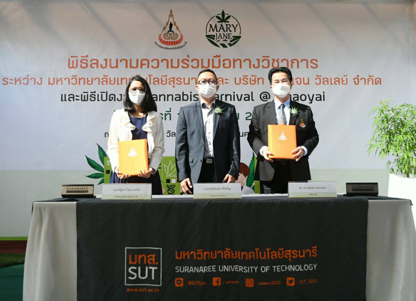 เริ่มแล้ว! งาน Cannabis Carnival@ Khaoyai หรืองานเทศกาล กัญชา กม.13