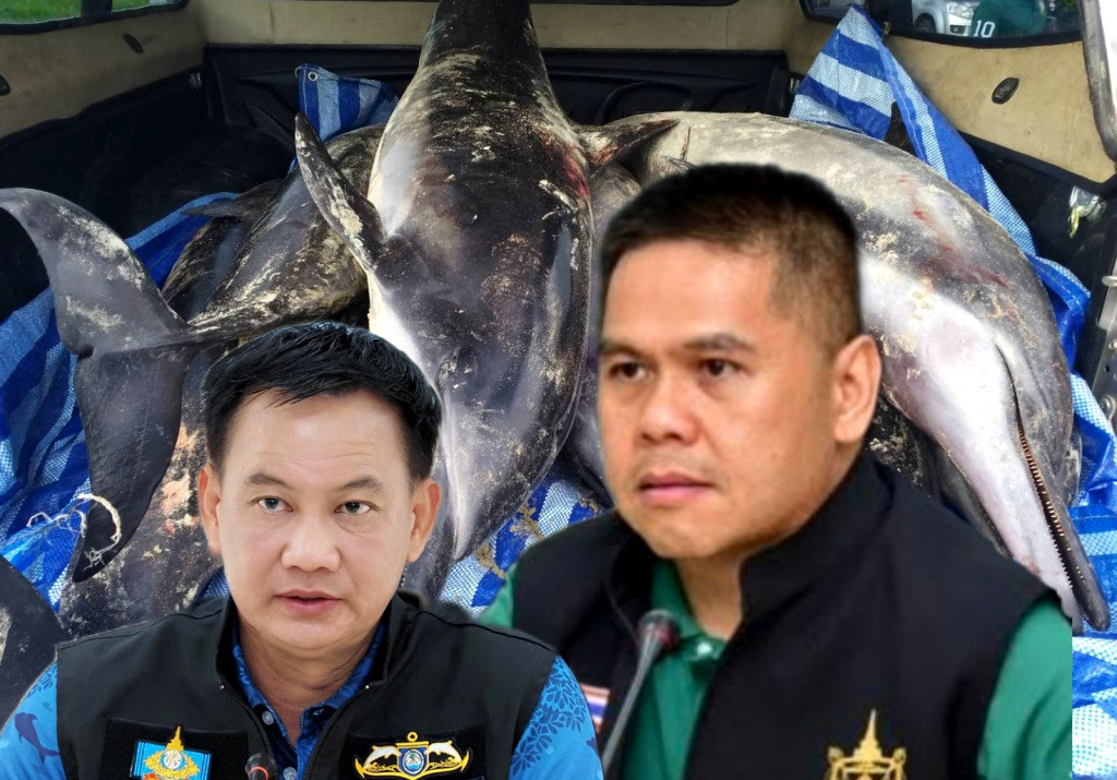 “วราวุธ” สั่งคุมเข้มกิจกรรมในทะเล หลังพบโลมาเกยตื้นตาย 8 ตัว ผลชันสูตรติดเชื้อตาย