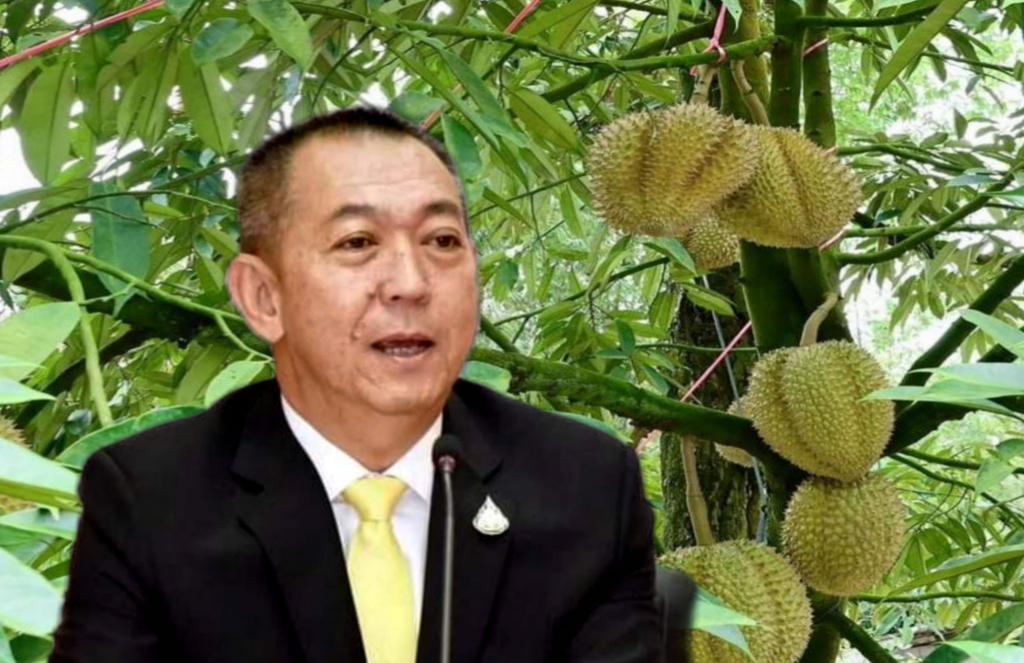 "เฉลิมชัย" สั่งลุยปราบขบวนการทุเรียนอ่อน เจอจับดำเนินคดีทันที 