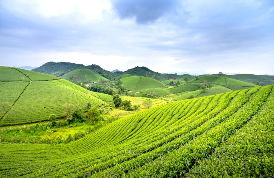 ข้อแตกต่างของราคาประเมินและราคาตลาด