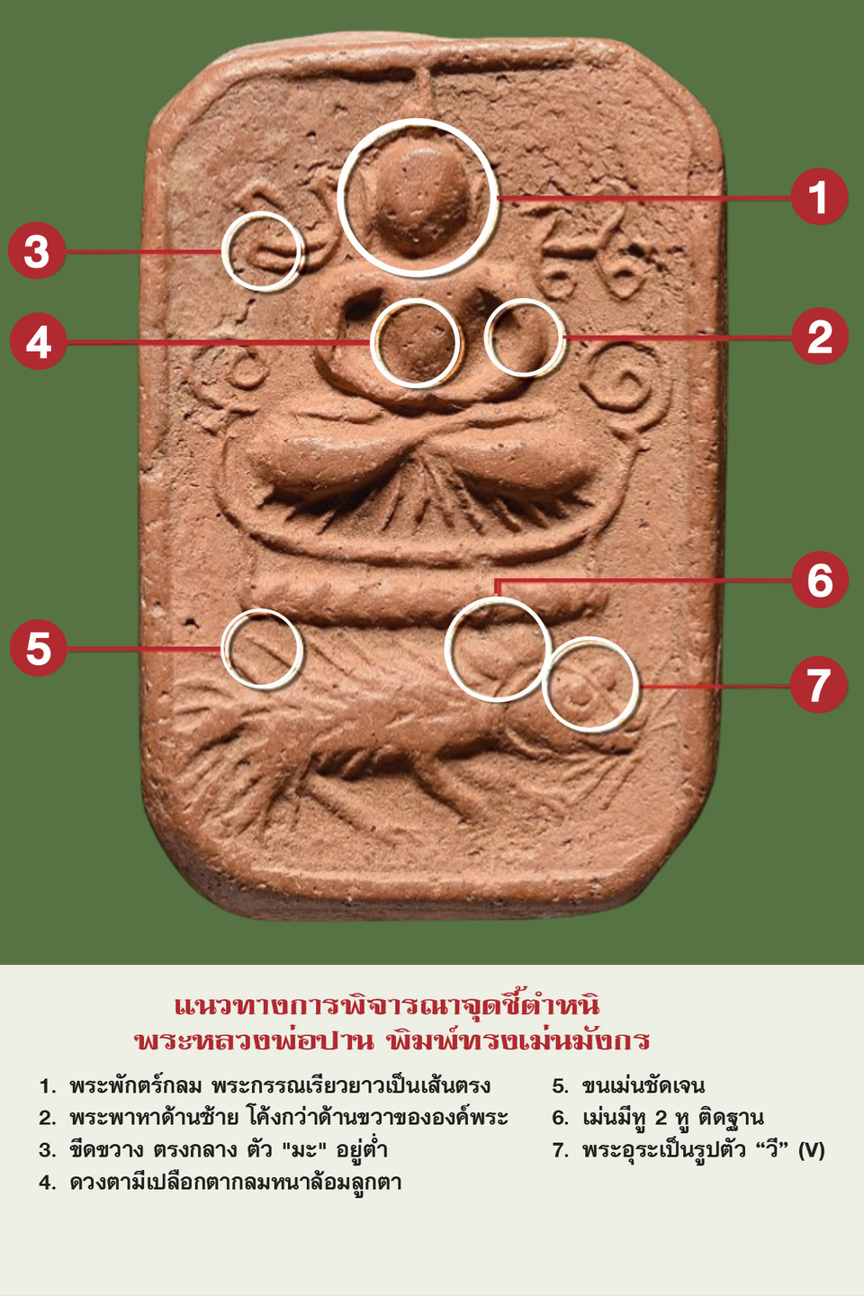 ชี้ตำหนิพระหลวงพ่อปาน พิมพ์ทรงเม่นมังกร