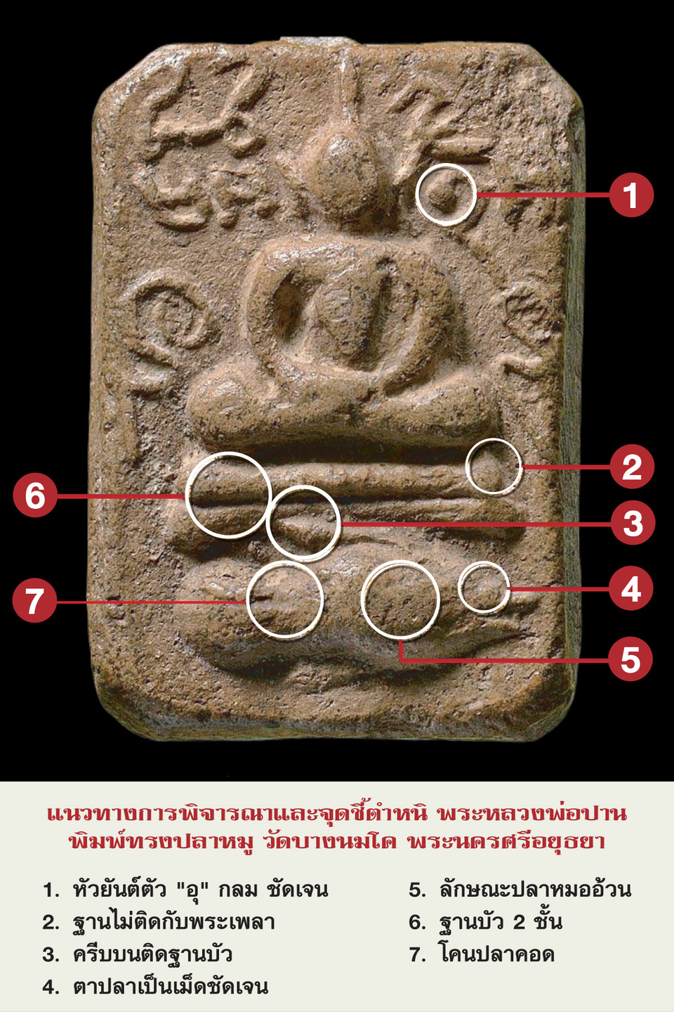 ชี้ตำหนิ พระหลวงพ่อปาน พิมพ์ทรงปลาหมู