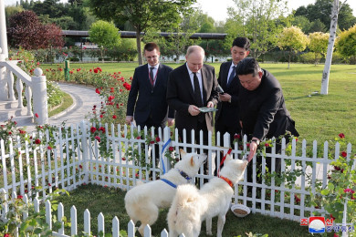 ประธานาธิบดีวลาดิเมียร์ ปูติน ผู้นำรัสเซีย รับมอบสุนัขพุงซาน ที่นายคิม จองอึน ผู้นำสูงสุดของเกาหลีเหนือ ที่ให้เป็นของขวัญ (Photo  : AFP)