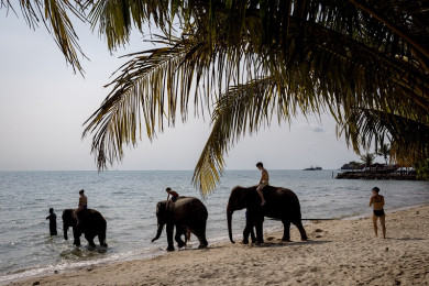 สถานที่ท่องเที่ยวแห่งหนึ่งของไทย (Photo : AFP)