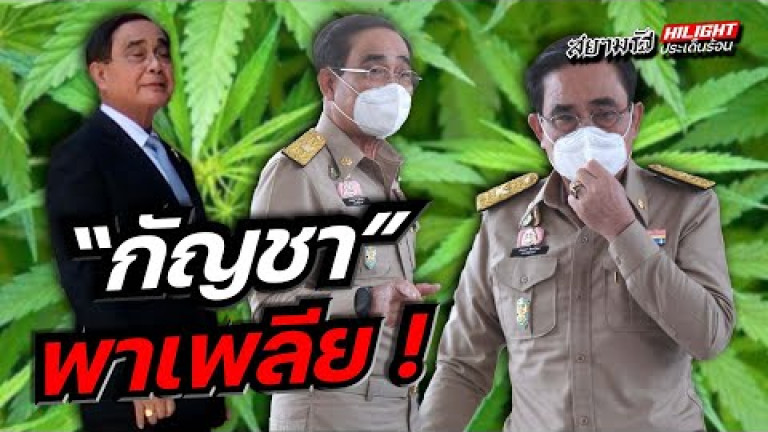 Embedded thumbnail for &amp;quot;กัญชา&amp;quot; พาเพลีย !