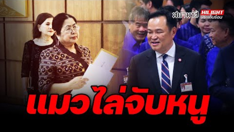 Embedded thumbnail for แมวไล่จับหมู - ไฮไลท์ประเด็นร้อน