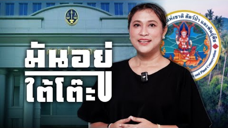 Embedded thumbnail for “คลิปเสียง 21 นาที” เปลี่ยนเส้นทางคดีใหญ่! เบื้องหลังสินบน 10 ล้านในกระบวนการยุติธรรม【11】 มันอยู่ใต้โต๊ะ